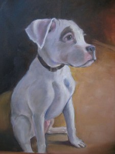 Pet portrait done on commission