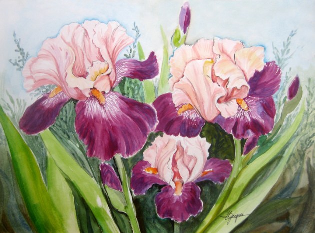 Iris Trio