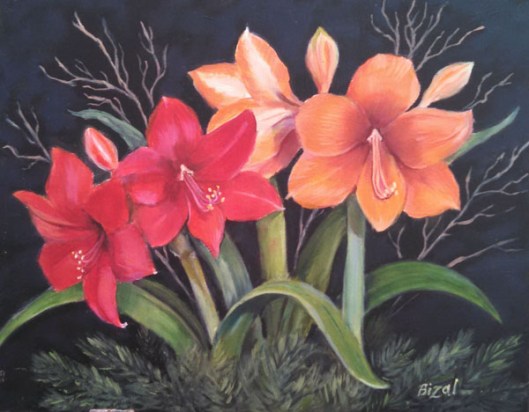 I like to get several Amaryllis bulbs around Christmas time and watch them grow and bloom