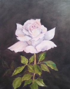 Pale Pink Rose