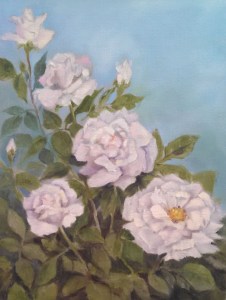 Pale Pink Roses